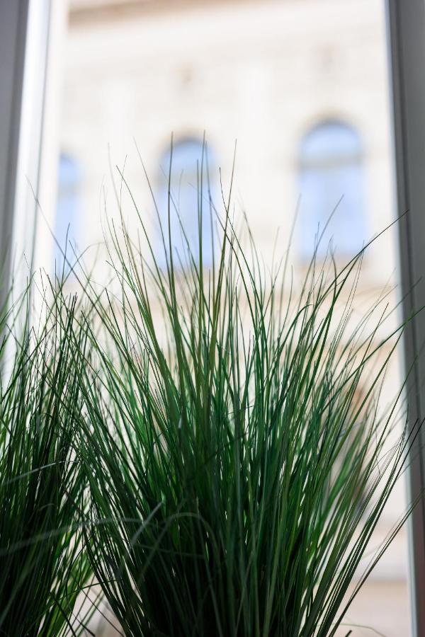 Native Apartments Studencka 25 クラクフ エクステリア 写真
